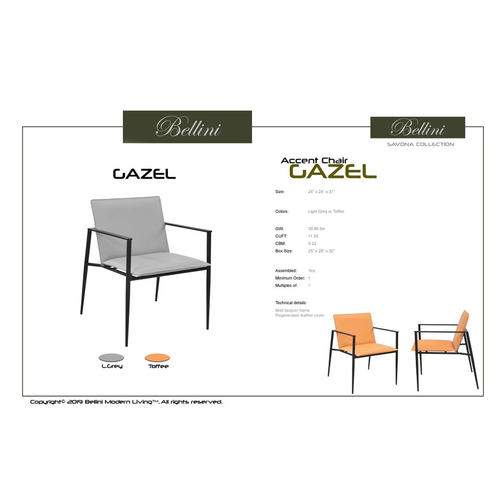 Gazel LGY